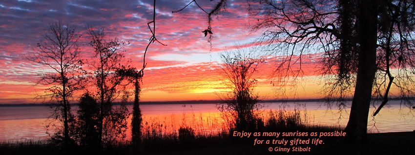 Sunrise photo with scattered clouds with colors ranging from purples & pinks to oranges & golds. The clouds are reflected in the still water. Various trees and shrubs are silhouetted in the foreground.
Text says,"Enjoyas many sunrises as possible for a truly gifted life."