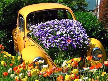 Photo of flowers growing in and around a yellow Volkwagon beetle car with its hood removed.