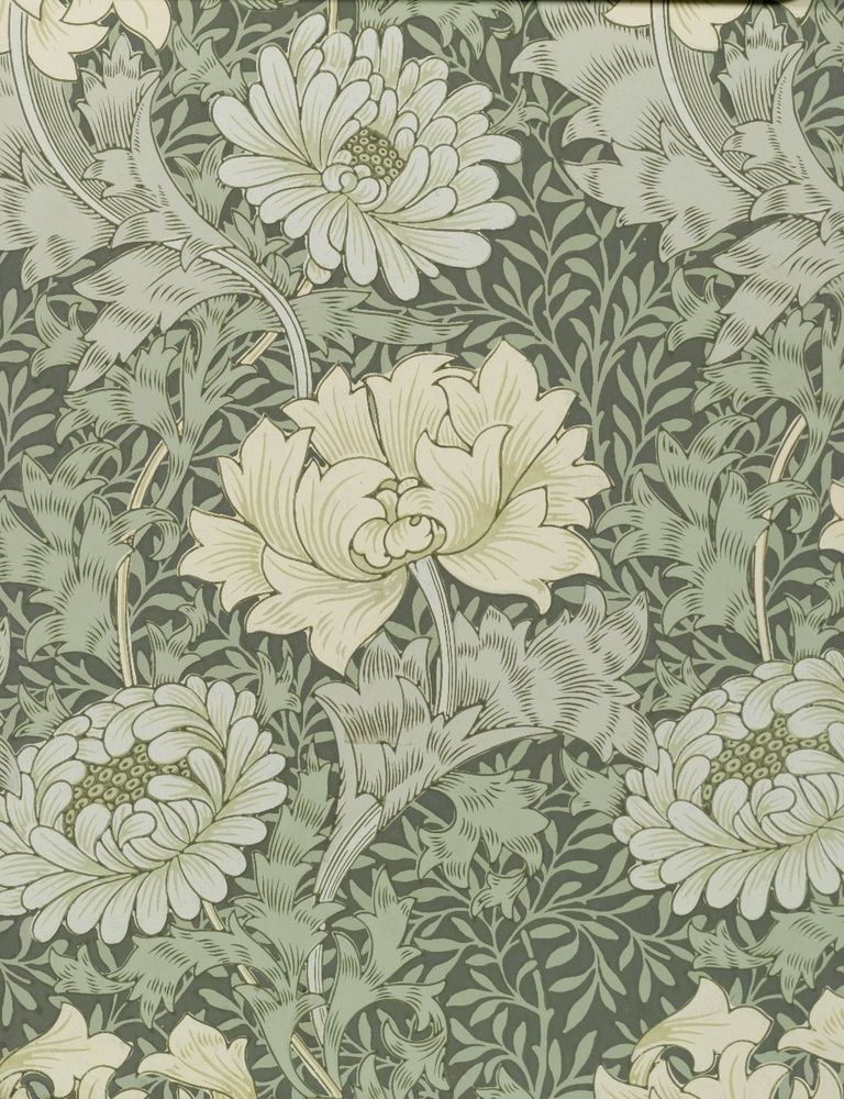 Morris & Co. “Chrysanthemum” wallpaper sample. A pattern of thin meandering stems and large blossoms and serrated leaves on a background fill of smaller simplified leaves and stems. The colorway is green-on-green, all in chalky distemper shades. The darkest green is the background, with the majority of the small and large foliage in the same shade of mid olive green. The central large poppy-style bloom with serrated petals is in a light, yellowish green and its stems are a lighter, mintier green than the rest of the pattern. The large namesake chrysanthemum blossoms’s rounded petals are another lighter shade of minty green, and the central gathered stamens olive green on dark green.
