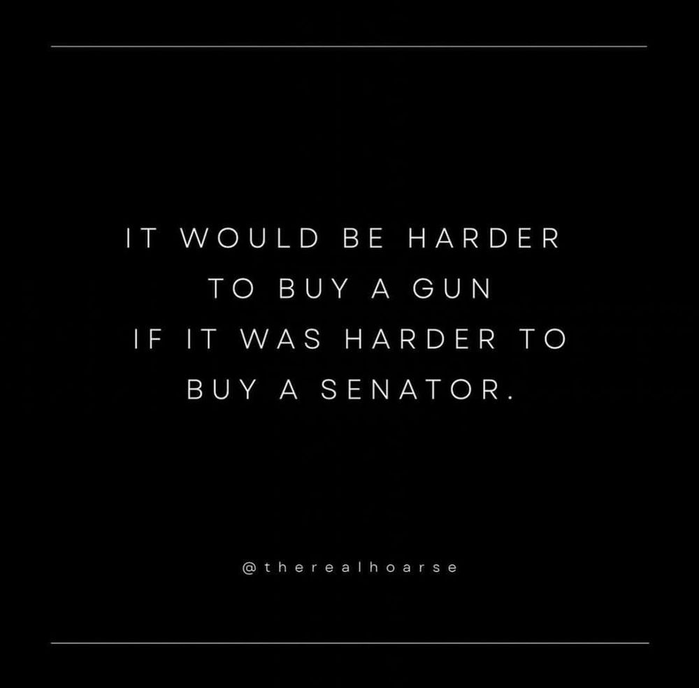 harder to buy a gun if it's harder to buy a senator 