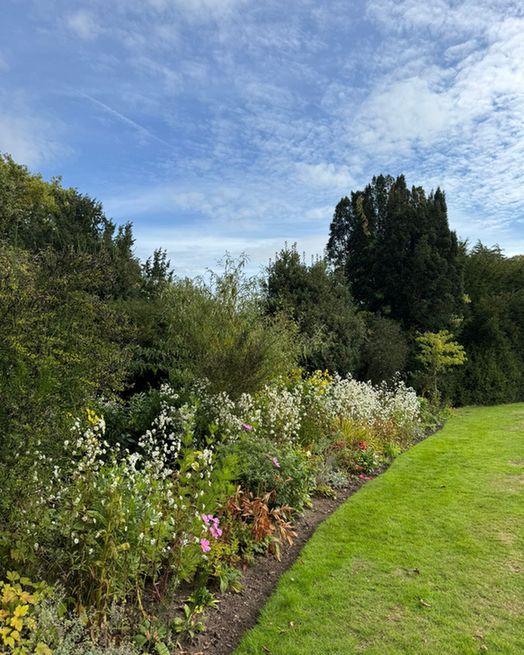 A border of plants and shrubs, with large trees in the background and a blue sky. 