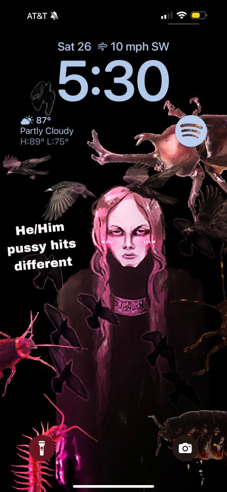 An iPhone lockscreen with Enki from Fear and Hunger edited with a pink filter and various bugs and crows with the white text “He/Him pussy hits different” 