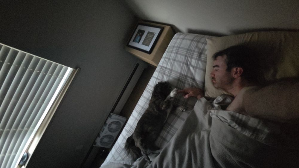 Looking down on Wookie and me in bed, my finger reaching out to touch his paw 
