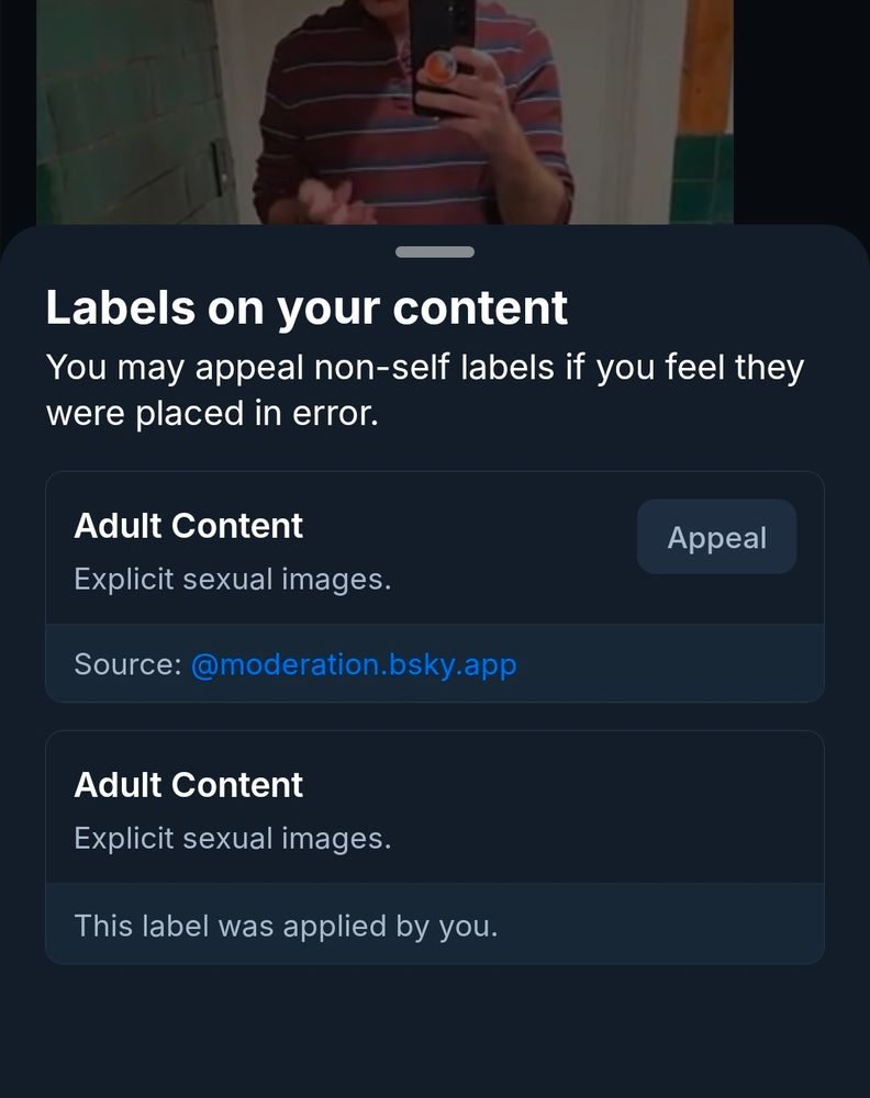 Screenshot of double adult content label because apparently my label doesn't mean anything 