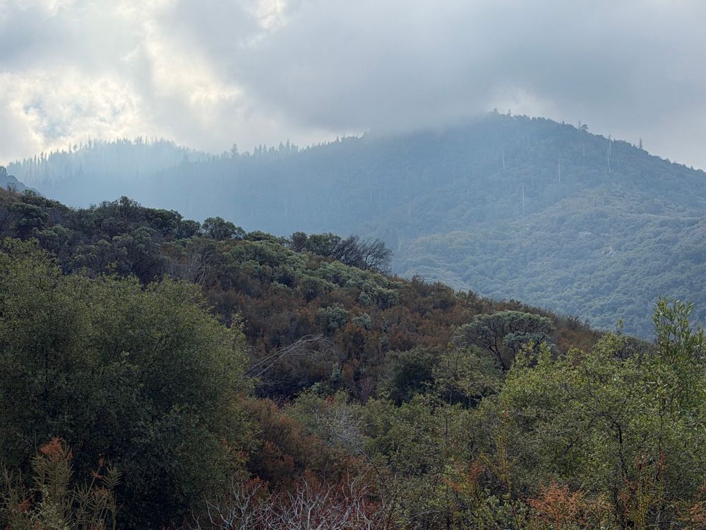 View of Case Mtn with a cloud atop it