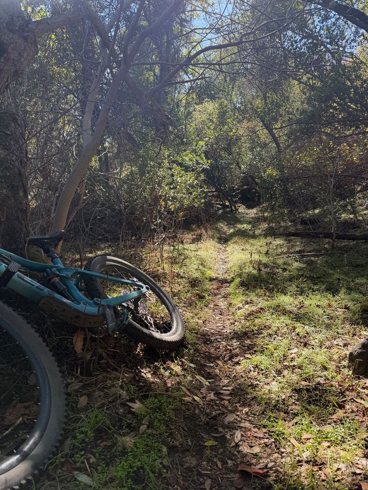 The same scene from the opposite angle. The bike is now in the left of the frame, pointed toward the camera