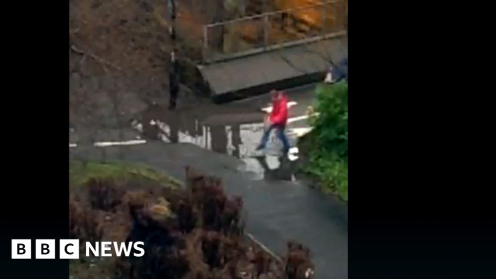 Drummond Puddle Watch: Thousands watch livestream of puddle in Newcastle