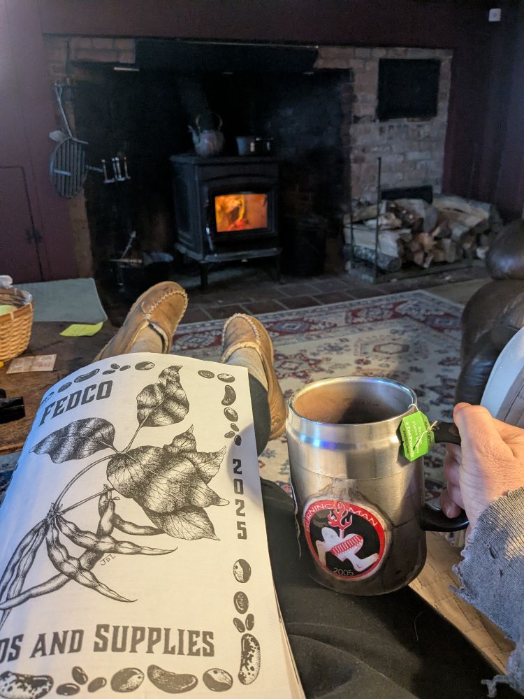 Saturday vibe. Seeds, fire & tea. 