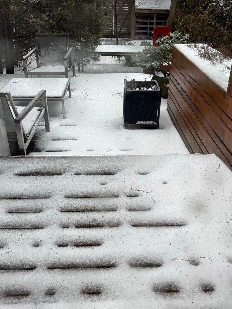 Celebrating spring in Toronto with a couple of centimeters of snow and ice