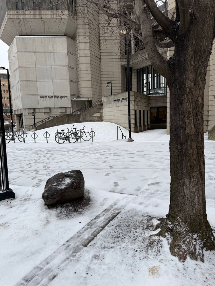 Celebrating Spring in Toronto with snow and ice in front of Robarts Library on the university of 
Toronto campus 