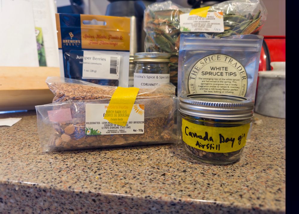 Ingredients to make a Canada Day gin: spruce tips, Labrador tea, birch bark, juniper berries and coriander seeds