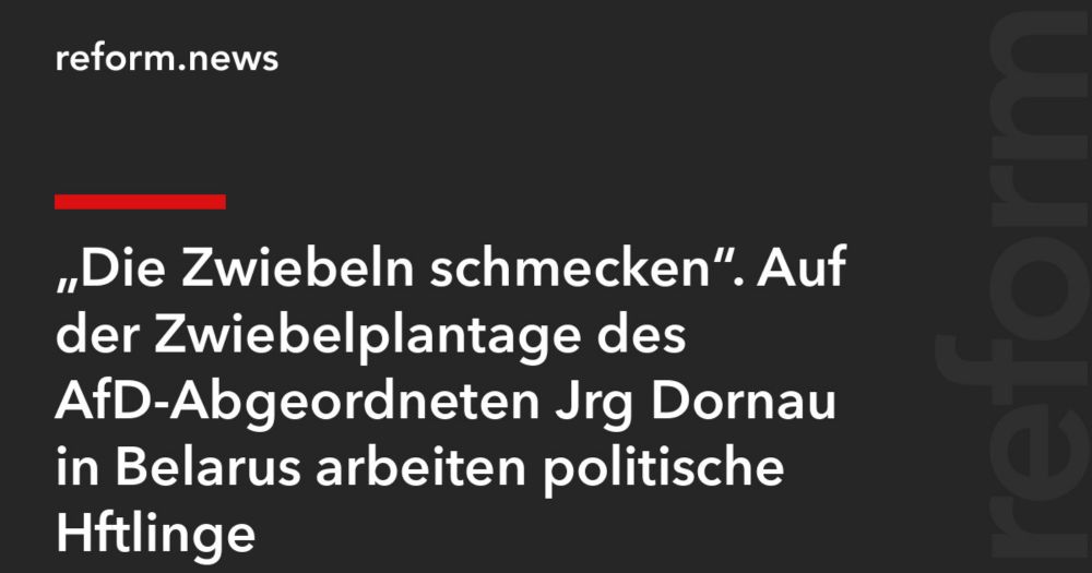 „Die Zwiebeln schmecken“. Auf der Zwiebelplantage des AfD-Abgeordneten Jörg Dornau in Belarus arbeiten politische Häftlinge