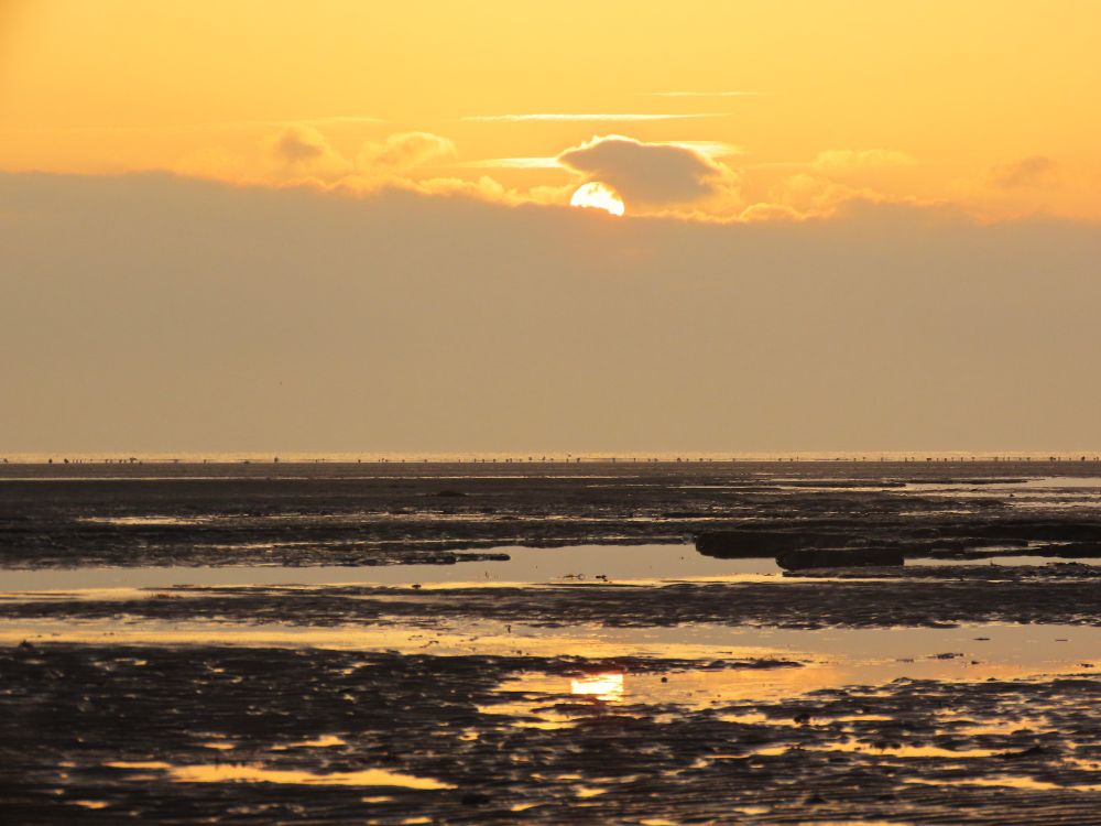 Sun just rising above the cloud bank to the east this morning on Greatstone beach