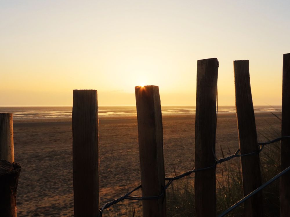 Sunrise on Greatstone beach through the chestnut picket fencing on the dunes this morning