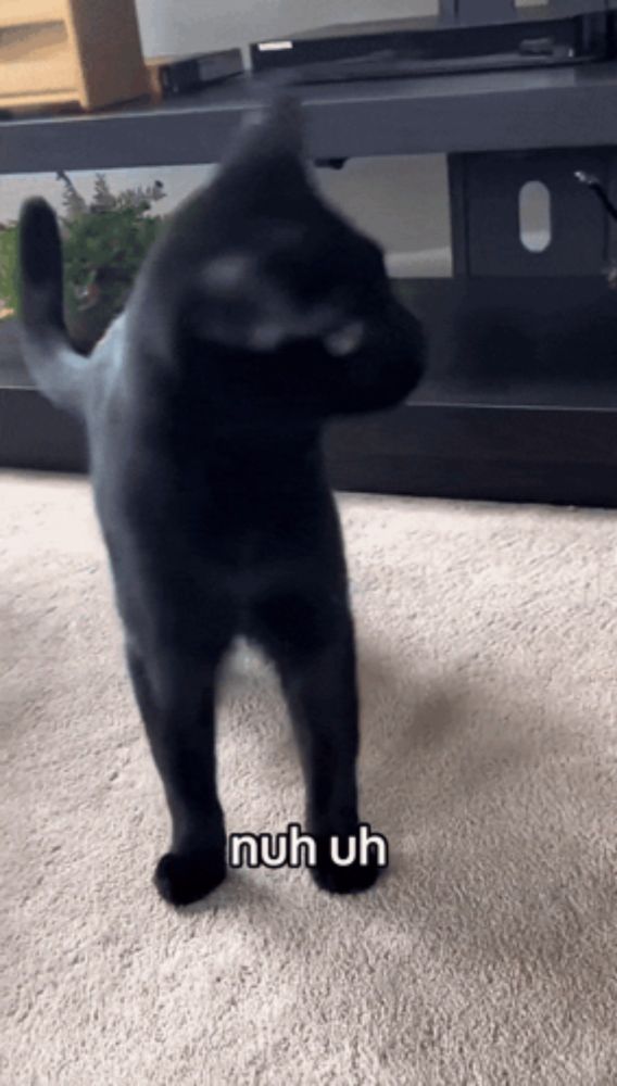 a black cat standing on its hind legs with the words nuh uh written on its paws