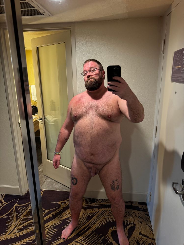 A bear stands naked in front of his hotel room’s full length mirror, admiring his sun tan glow 