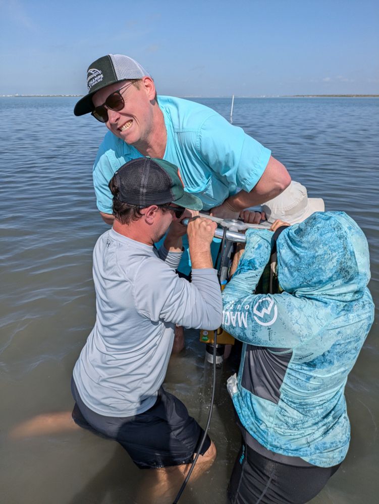 Four scientists struggle to push down a coring device through underwater sediment, while standing in waist-high water in a seagrass meadow along the Texas coast.