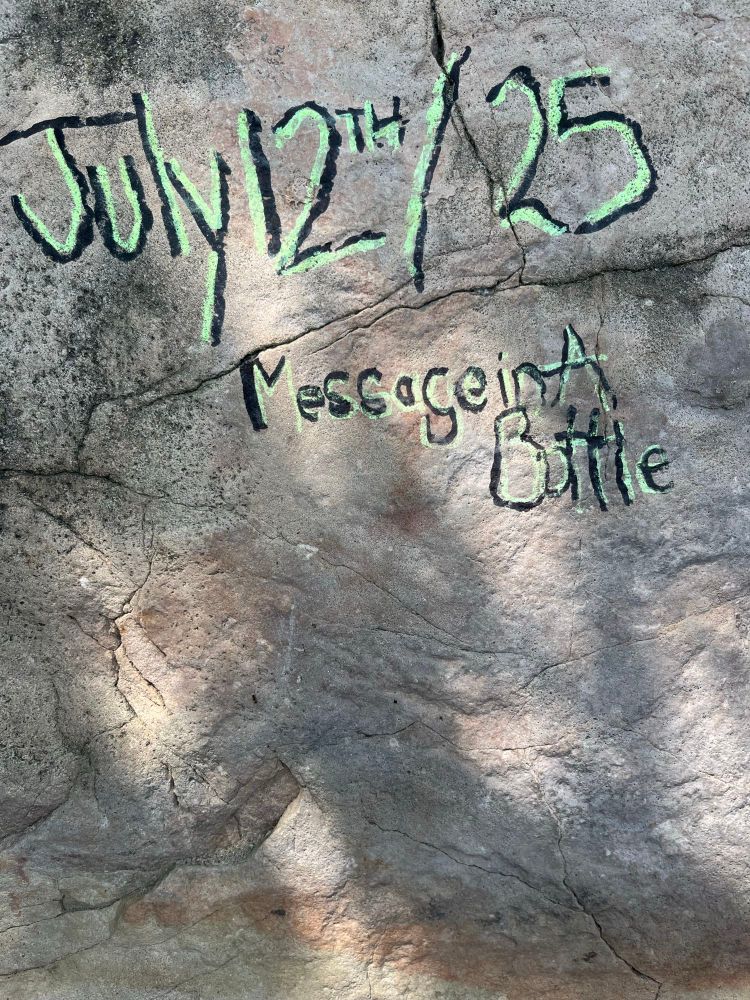 Graffiti on sun-dappled rock says message in a bottle. 