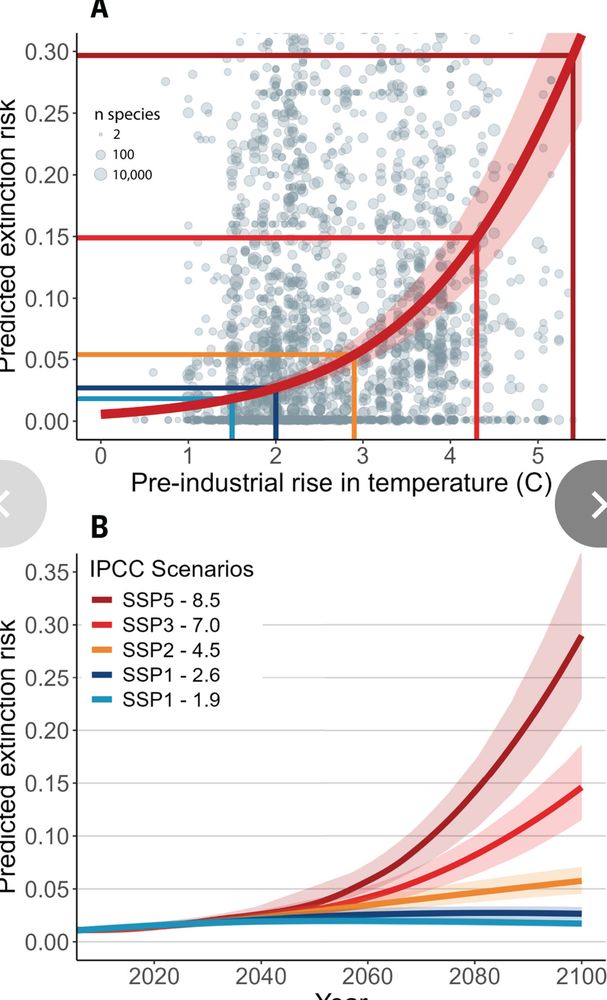 Predicted extinction levels vs temperature rise and IPCC scenario’s. 