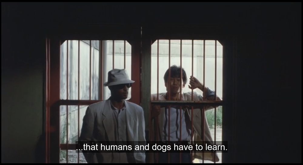 "...that humans and dogs have to learn."