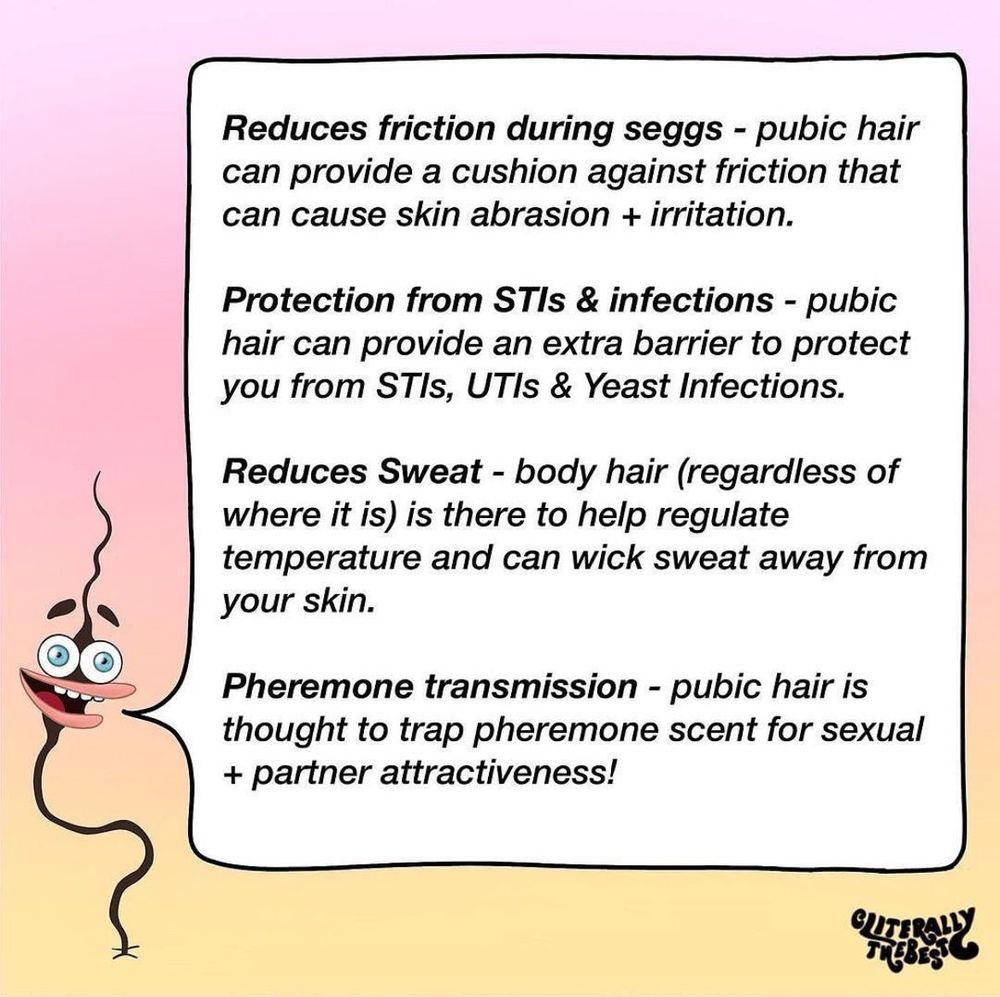 Pubic hair cartoon and pink yellow gradient background with a speech bubble that talks about how pubic hair helps reduce friction during sex, can act as an additional barrier to STIs, UTIs, and yeast infections, reduces sweat and is thought to trap pheromone scent to boost attraction
