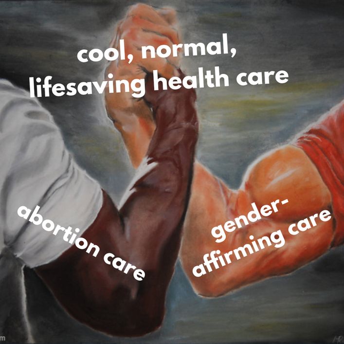 Epic handshake meme. The meme has abortion care written on the left, and gender affirming care on the right. There the hands meet it is captioned, cool, normal lifesaving healthcare. 