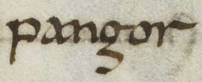 The word ‘pangor’, written in Caroline minuscule, enlarged from Cambridge, Corpus Christi College, MS. 221, f. 8r.