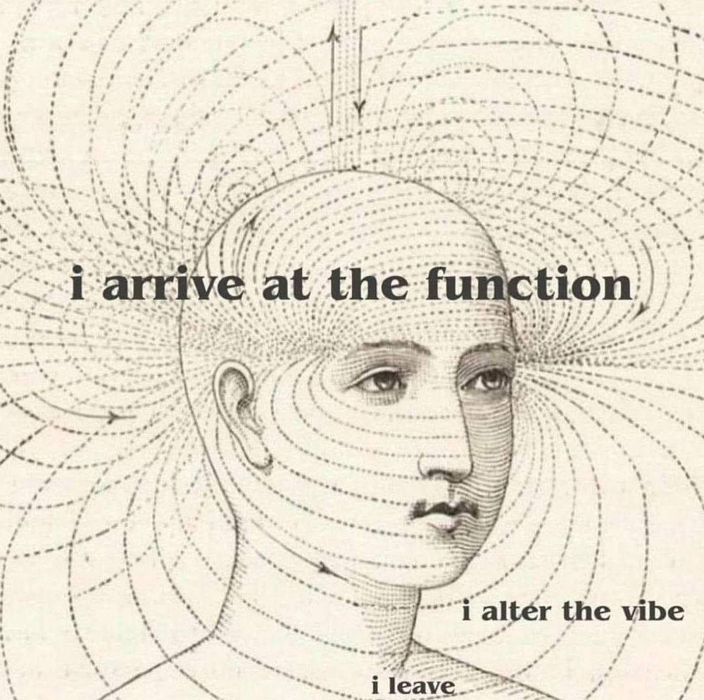 I arrive at the function
I alter the vibe 
I leave