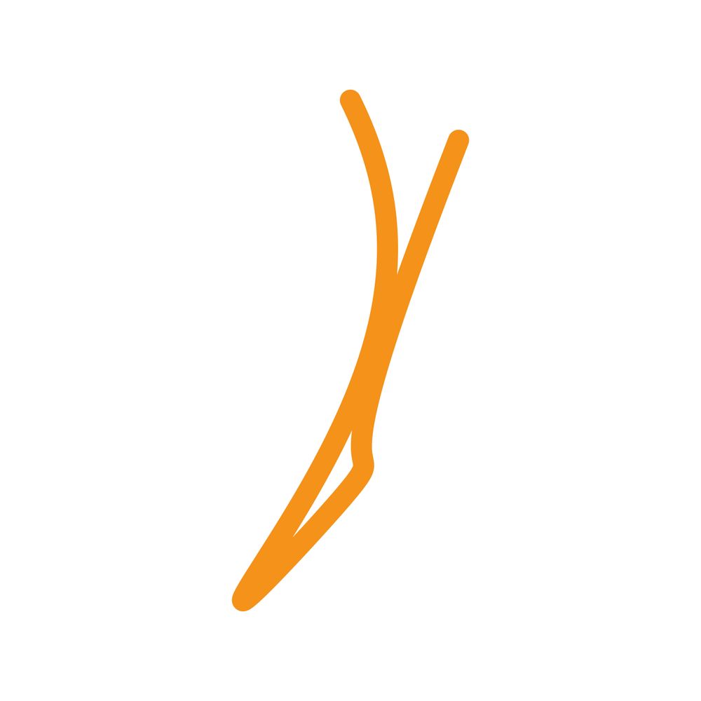 Curve № 171 - An abstract bezier curve graphic.