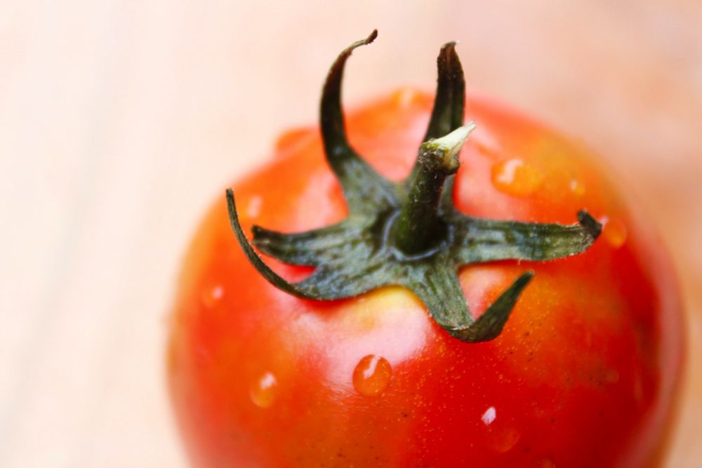 Boost Your Writing Productivity with the Pomodoro Technique