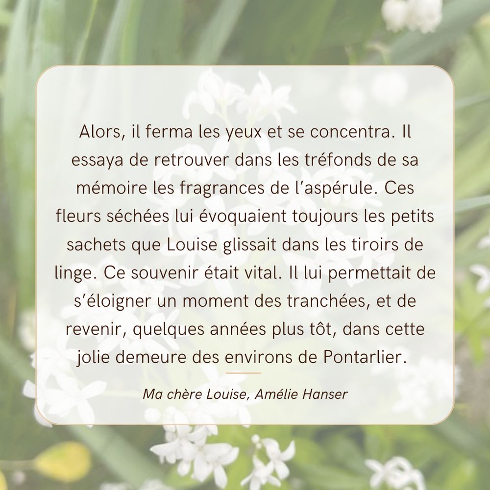 Extait du roman Ma chère Louise, d'Amélie Hanser sur un fond de fleurs blanches. Contenu du texte "Alors, il ferma les yeux et se concentra. Il essaya de retrouver dans les tréfonds de sa mémoire les fragrances de l’aspérule. Ces fleurs séchées lui évoquaient toujours les petits sachets que Louise glissait dans les tiroirs de linge. Ce souvenir était vital. Il lui permettait de s’éloigner un moment des tranchées, et de revenir, quelques années plus tôt, dans cette jolie demeure des environs de Pontarlier. "