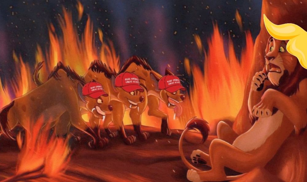 The hyenas turn on Scar.
