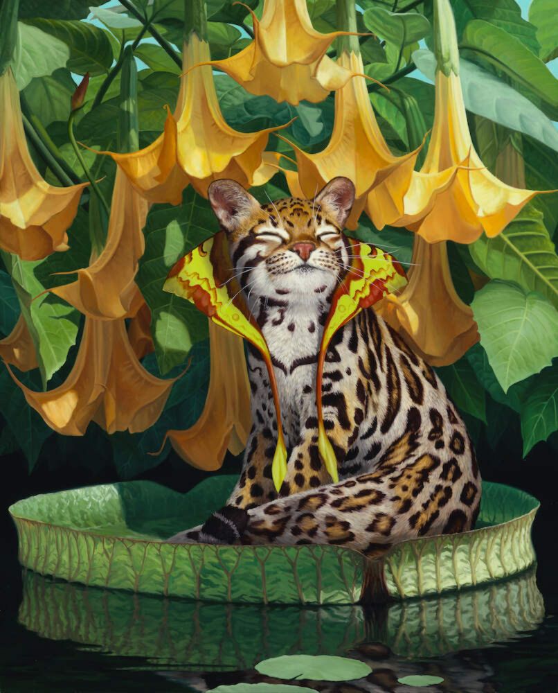 Artist Directory: Jon Ching