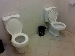 foto de um banheiro com duas privadas.