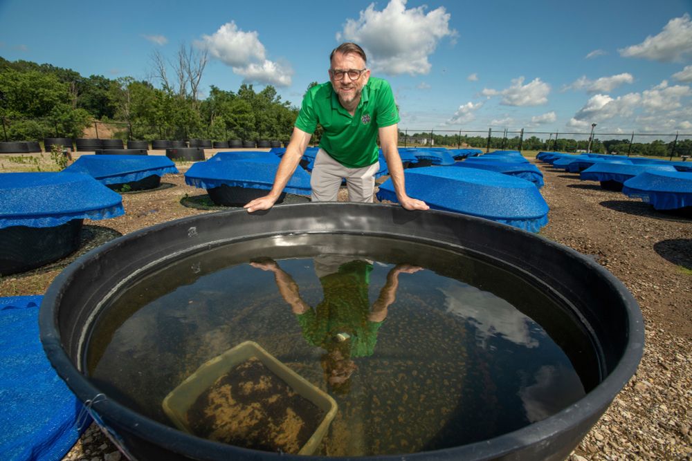 Jason Rohr, the Ludmilla F., Stephen J., and Robert T. Galla College Professor of Biological Sciences and department chair, uses indoor and outdoor laboratories to study the intersection of wildlife and human health. The 200- and 300-gallon tanks in his outdoor laboratory simulate freshwater environments. In this photo, Rohr stands behind a large black tank filled with water. Behind him are other tanks with blue covers. 