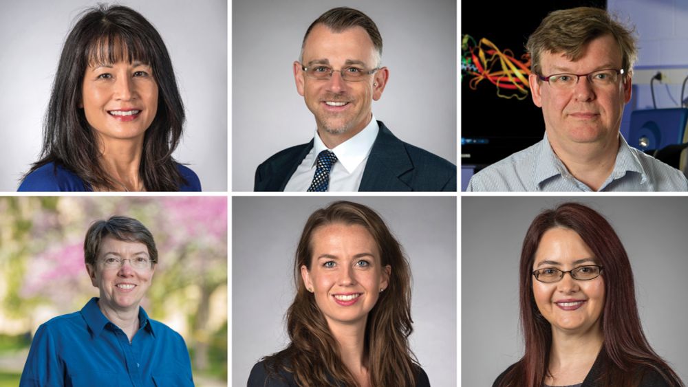 [Left to right] Michelle Whaley, Jason Rohr, Olaf Wiest
[Second row] Holly Goodson, Rachel Branco, Rebecca Surman
