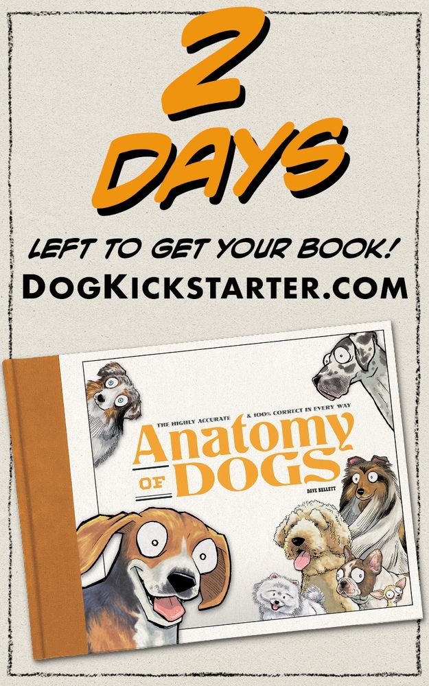 Marketing images of Dave Kellett’s book ANATOMY OF DOGS