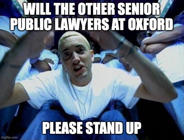 slim shady meme; top line: will the other senior public lawyers at Oxford' bottom line: please stand up