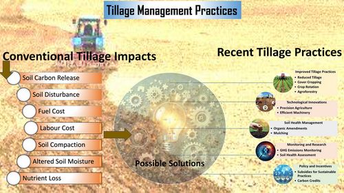 Tillage management practices and their impact on soil ecology and possible solutions.