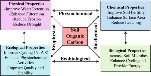 Benefits of climate-smart conservation agricultural techniques on the overall soil health.