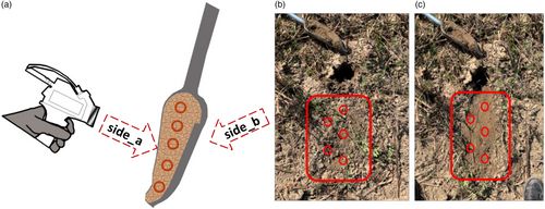 Schematic representation of the in-situ scanning protocol of soil samples with: (a) the scanning of the two sides of the Edelman auger (hereafter called side_a and side_b), (b) the scanning of the raw surface (surface_raw) and (c) the scanning of the cleaned and smoothed soil surface (surface_smooth).