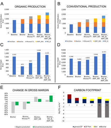 Economic and environmental evaluation of biofertilizers and biochar adoption. 