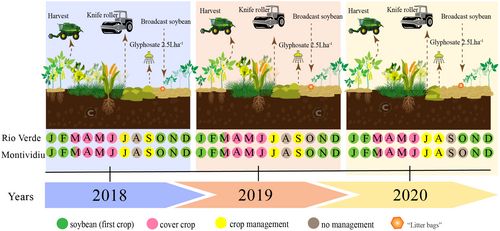 Schedule of field activities for the cover crop study, 2018–2020.