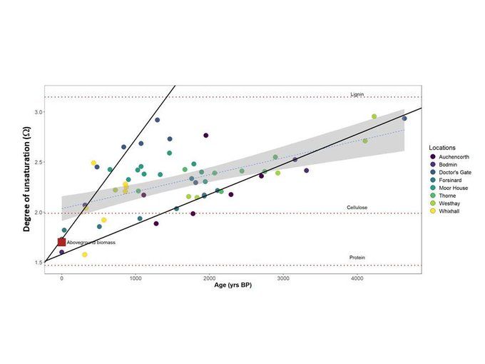 The comparison of degree of unsaturation (Ω) and radiocarbon age with the composition of lignin, plant protein and cellulose (…, red dotted lines); the proposed bonding trends (_, thick black lines); the composition of aboveground biomass (■); and the best-fit straight line (---, blue dashed line). The shaded area is standard error on the best-fit straight line.