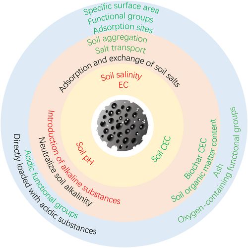 Properties of modified BC and its effects on soil EC, pH and CEC. Modified BC can potentially improve or reduce soil indices, as indicated by green and red characters in the image. The soil index is represented in the inner layer of the image, with the cause of soil property changes caused by BC in the middle layer and BC property changes in the outermost layer.