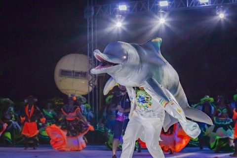 O Boto Tucuxi de boca aberta e sorrisinho no rosto, com os olhos brilhantes como se estivessem lançando raios pra seduzir alguma cunhantã.