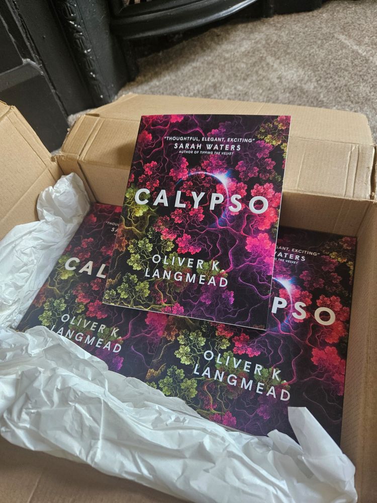 A box full of paperback editions of Calypso by Oliver K. Langmead.