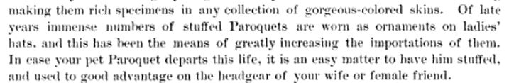 From George Holden's Canaries and Cage-Birds: 