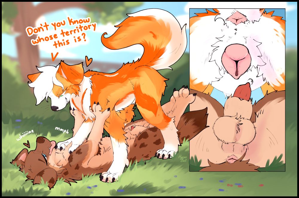 Feral Australian shepherd pinning down another Australian shepherd saying "Don't you know whose territory this is" A secondary panel showing off their genitalia