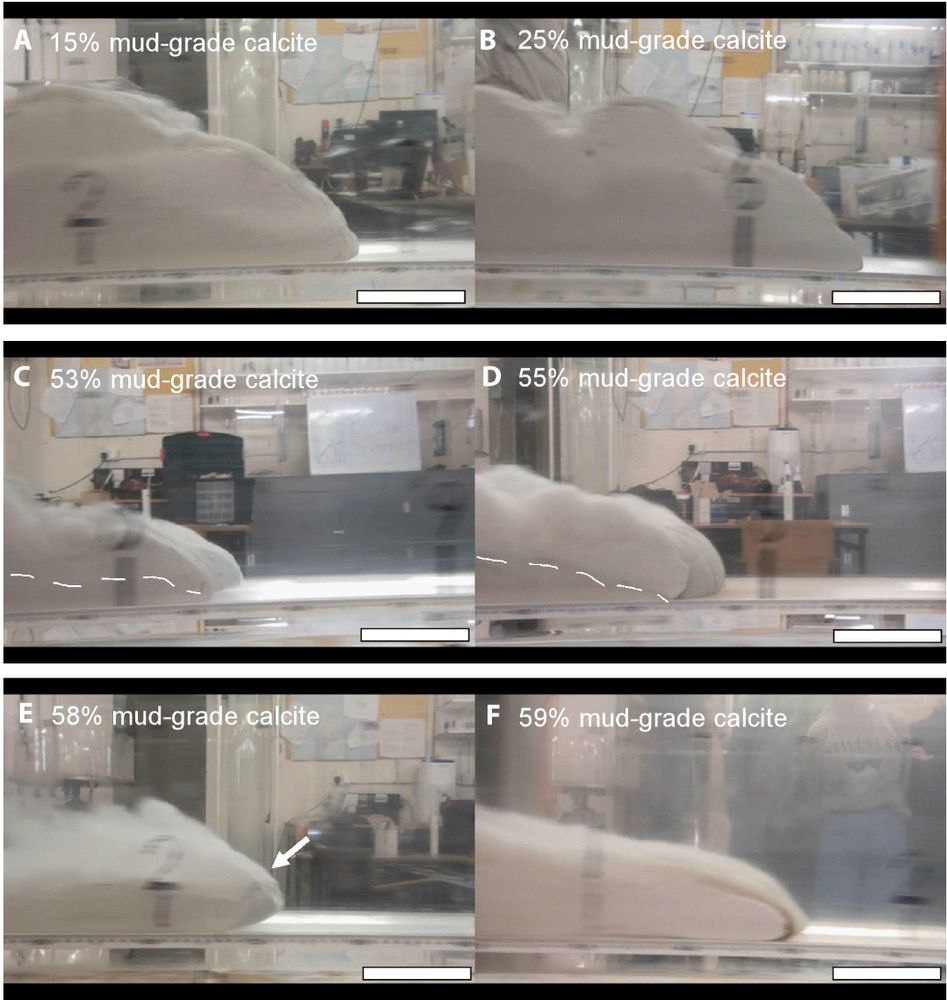 Video stills of the heads of selected CaCO3 flows.

(A) 15% low-density turbidity current, (B) 25% low-density turbidity current, (C) 53% high-density turbidity current, (D) 55% high-density turbidity current, (E) 58% mud flow and (F) 59% slide. Dashed lines in (C) and (D) show density interfaces in high-density turbidity currents. Arrow in (E) points to lip region of mud flow. Scale bar is 100 mm long.